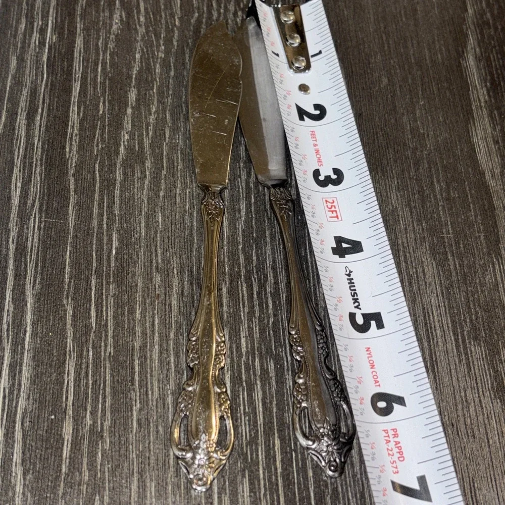 Oneida lot silver